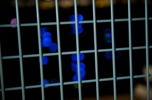 Lifeline Data Centers Colocation Need Better Security? - Lifeline Data Centers